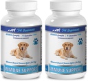 宠物免疫强化器 - 高级免疫系统支持器 - ChEWABLE - 用于狗类 - Ashwagandha for Dogs - 2瓶(180 Chews)