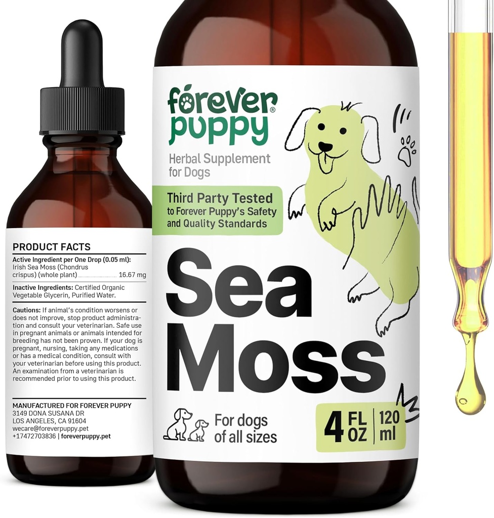 (原始内容存档于2018-03-21). Forever Puppie Irish Sea Moss Drops for Dogs - 甲状腺素和能量支持 All Breedds & Sizes - 狗食品补充剂 液态 Seamos 提取剂 - 维生素和补充剂 - 糖和无酒精 - 4 oz