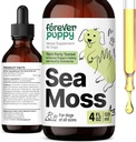 (原始内容存档于2018-03-21). Forever Puppie Irish Sea Moss Drops for Dogs - 甲状腺素和能量支持 All Breedds & Sizes - 狗食品补充剂 液态 Seamos 提取剂 - 维生素和补充剂 - 糖和无酒精 - 4 oz