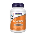 现在食品补充品,L-Lysine(L-Lysine 单氢氯化物)500毫克,氨基酸,100维卡普尔