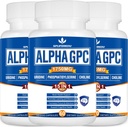 15-in-1 Alpha GPC 配有 Phosphatidylserine, Uridine, L-Theanine, 狮子的马内蘑菇, 180 卡普尔