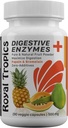 Royal Tropics 消化酶补充剂 -- -- 配有绿色木瓜的蔬菜配方