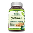 草药秘诀 Shatavari Supplements \ 500 Mg Per service 120 Veggie Capsules ==========================================================================================================================================================================================================================