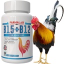 Farmalab B12 B15用于旋转轮 B15 B12 第100段 Gallos