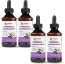 Maxx Herb Passion Flower Flower Passion Flower Liquid Abs between than Capsules, for Relax and Relief, Freedom - 4 bottles, 4 Oz Each (240 services) (美国英语).