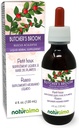 Naturalma Butcher's Broom (Ruscus aculeatus) 根无酒精丁香 - 4 fl oz 液体在滴滴中提取 - 草药补充 - Vegan