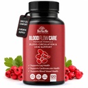 配有Niacin、L-Arginine、Ginger、Cayenne Pepper、Hawthorn、Diosmin、血流药丸的120种血液循环补充剂、支持腿维因、心脏、船只和心血管健康
