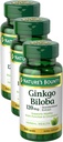 自然的丰盛Ginkgo Biloba Capsules 120 mg,记忆支持补充,支持大脑功能和精神警惕,100 Capsules (Pack of 3)