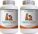 犬类亲生消化酶 - PET Probiotic - DOGS and CATS - Digesition BOOST - 得到BAD呼吸的RID 并停止DIARRHEA - 乳房杆菌 沙利瓦里乌斯亲生酶 - 2瓶(120份治疗)