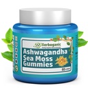 HERBOGANIC Ashwagandha 海摩斯古米斯 - 60个伯爵