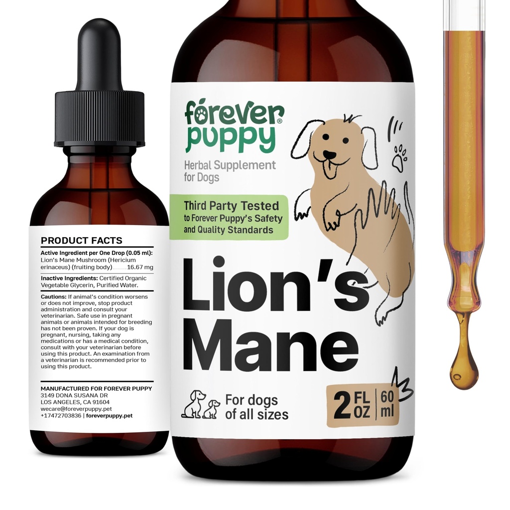 永远的猫咪狮子 Mane蘑菇 狗的补品 - 大脑和焦点支持 - 液态狮子的马妮蘑菇 狗的补品 - 犬类维生素和补品 - 糖和无酒精滴液 - 2 floz
