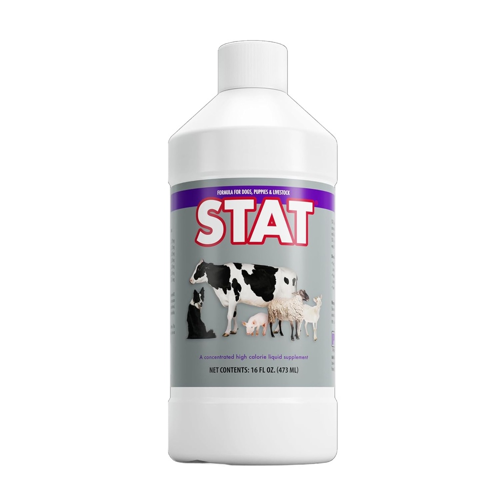 PRN 药用STAT - 高卡路里营养补充剂,帮助恢复动物的水分和营养水平 -- -- 香草火烧饮食支持,维生素A, D3, C, E, & More -- -- 16 Fl Oz