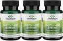 Swanson Buchu Leaf - 4:1 摘录 - 草药补充剂 - (60 Capsules,每包100毫克) 3 Pack