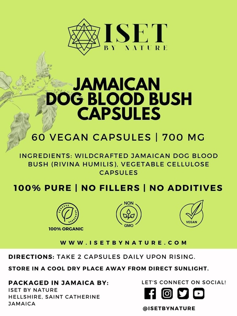 Iset by Natural Jamaica Dog Bush Capsules 1400mg - 支持荷尔蒙平衡和构思的妇女生育补充,PCOS 对牙买加有机狗血草的救助 - 60 Capsules, Vegan
