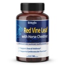 红藤叶和马栗,50%的Flavonoids 用于腿维因支持,皮肤,心脏井 - 美国制造