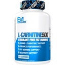 EVL L-Carnitine 体重损失支持补充剂 - L Carnitine Tarrate for Cellular Energy Focus Focus 耐力和脂肪燃烧支持 - Stulant Free Amino Acid for Fat Metabolism (120 services)