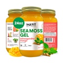 Sea Moss Gel Ashwagandha Mango (25 Flavors) 24oz 野生金色海 Moss Gel 来自圣卢西亚 92 维生素和矿物 |纯Raw+非GMO