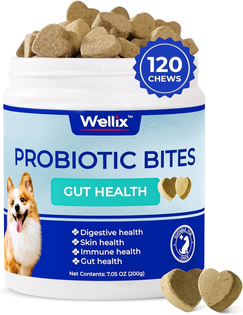 Wellix Probiotics for Dogs - 狗的Probiotic Chews for Dog 消化性健康,预防腹泻,过敏反应 - 抗腹泻, Upset 胃和气体救济