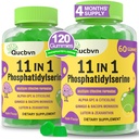 (2 Packs) Phosphatidylserine 600mg Gummys,脑增量用于记忆,聚焦和浓度 - Phosphatidylserine 记忆增量与 Alpha GPC, B6 & B12用于脑和认知, 120 Gummys
