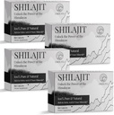 30,000 MG Shilajit Tablets, 100% Shilajit Pure, Himalayan Organic, Shilajit for Men and Women Rich in Fulvic Acid & 85+ Trace Minerals, Shilajit Supplement for Energy & Immune System, 240 Count