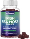爱尔兰海 Moss Gummys - 与黑种子草莓 Bladderwrack Burdock Turmeric Omega-3 维生素 C D3 Zinc - Seamos 成人女性补充品 - 无糖 Gluten Free Vegan