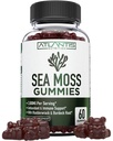 爱尔兰海苔(Moss Gummys) - 3000MG - 公式化 w/ 爱尔兰海苔(Sea Moss),Bladderwrack & Burdock Root, 包含基本维生素和矿物质 - 抗氧化剂-Rich超级食品补充剂,60 Sea Moss Gummys for Adults
