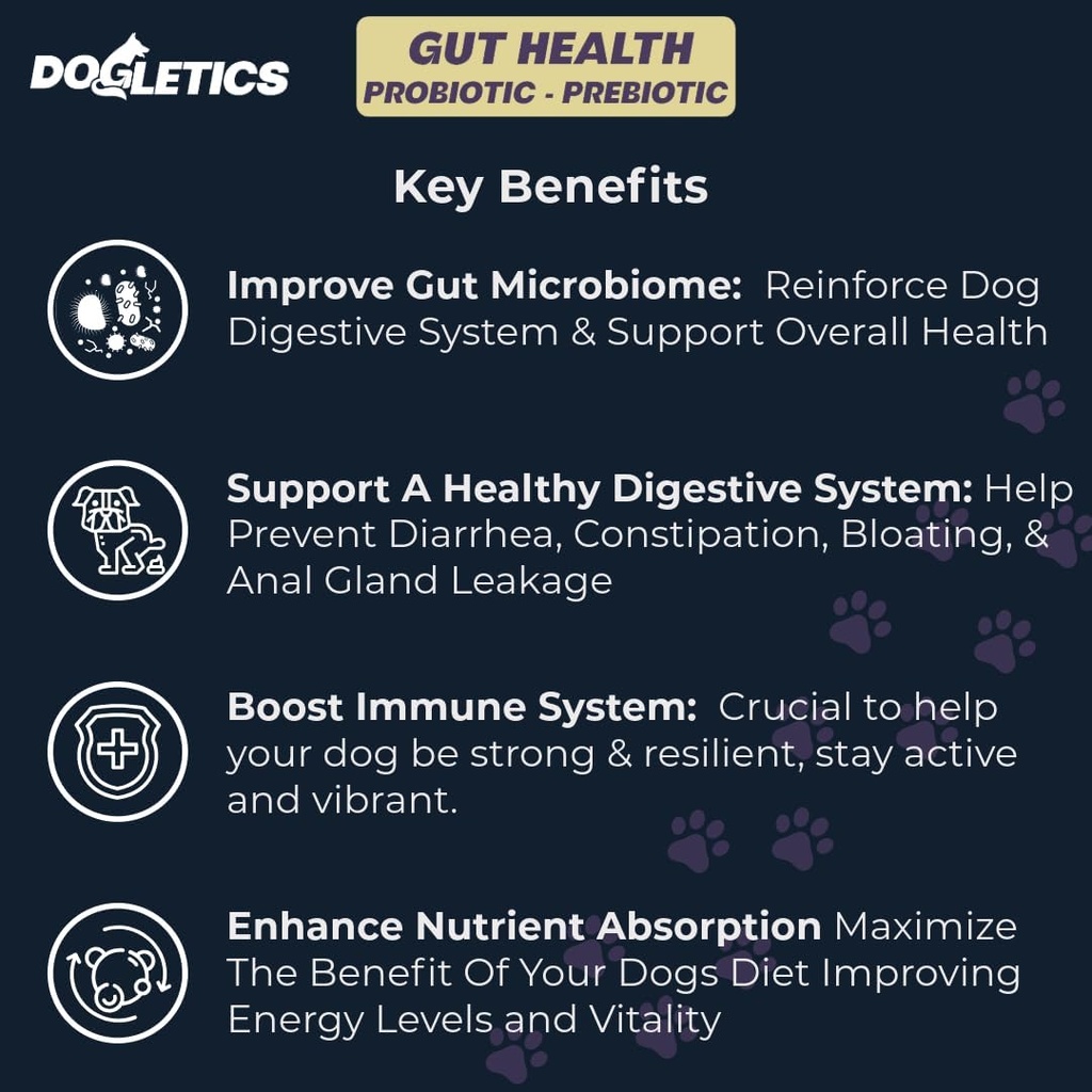 Gut Health Probiotic & Prebiotic - 90cmt支持胃微生物,预防消化问题,减少肛腺问题,改善免疫功能和整体能源