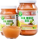 野生爱尔兰海 Moss Gel 在美国制造 富含维生素和矿物 海 Moss Gel Raw 营养补充 苹果 (16 oz)