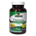 Nature's Answer Damiana, 90 蔬菜卡普尔(每卡普尔400毫克)