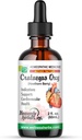 Crataegus Oxyacantha Q - Mother Tincture – Hawthorn Berry 摘录 - 支持心血管健康和调节血液循环 - 在美国制造 - 2 f. Oz - 顺势疗法医学