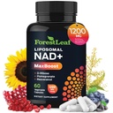 NAD+ 补充 - 500 mg 纯NAD Plus for Energy, Focus, Skin & Anti-Anging Support - Gluten Free-GMO NAD 女性和男性补充(60 counts (pack of 1),NAD+ Resveratrol)