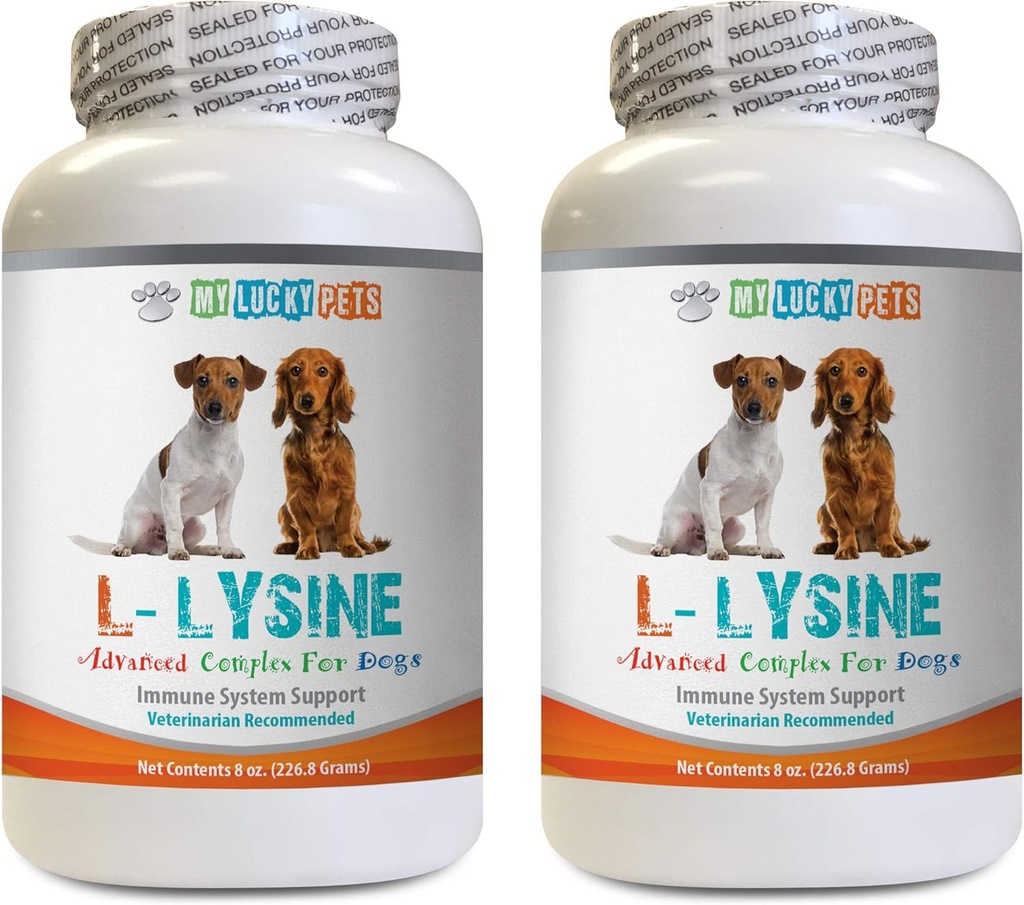 狗免疫治疗 - 狗 LYSINE 粉末 - 纯粉末形式 - 免疫系统支持 - Vet推荐 - l-Lysine for Dogs - 2 Bottle (16oz 453.6格拉姆)
