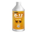 NUTRILINE B-12 家禽 - 多维他命助推器用于Rooster, Hens, Chicken, Vitamin Recovery 16 onzas