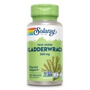 SOLARAY Bladderwrack Capsules 580 mg - 营养-包装海藻补充剂,碘含量高 - 平衡草药支持 - Vegan,非GMO,60天保障,实验室验证 - 100名服务员,100名Veg Caps