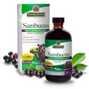 自然之答 Sambucus 长老 Berry 提取 Syrup 8 Ounce (3 Pack) – 每日免疫支持 – 包装抗氧化剂 – 家庭友好 – 荧光季节维护者
