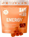 SAM+LEO 儿童能源Gummys-有生物素、维生素C、B3、B6和B12-All Natural & Vegan Gummy for Energy & Focus Supplements for Kids-压力和消化支持、草莓Gummys-60/ct