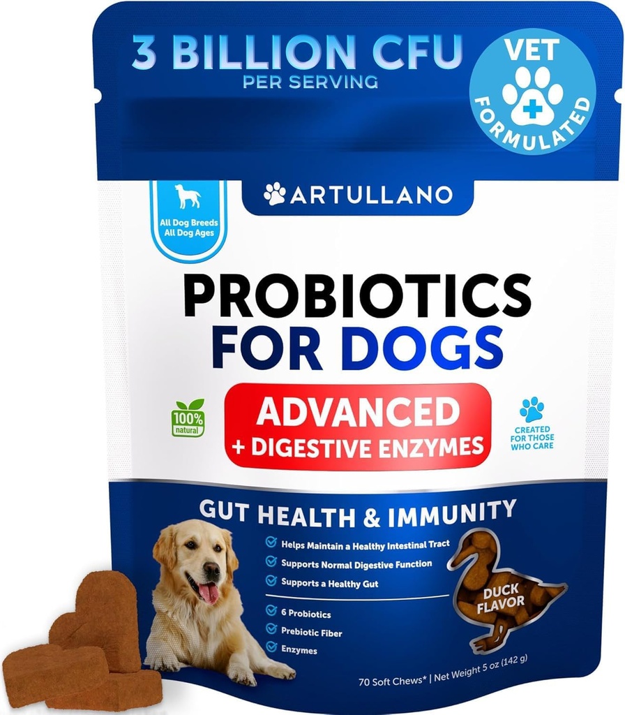狗的抗生素 - 支持Gut Health, Itchy Skin,过敏,免疫,东方平衡 - 狗的抗生素和带预生素的消化酶 - 减少腹泻,气体 - 70 Probiotic Chews for Dogs