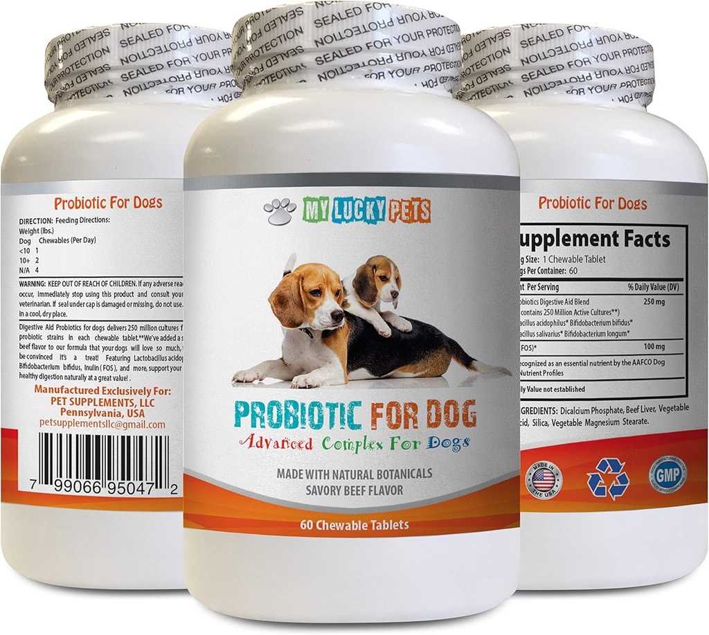 狗可嚼的抗生素 - 狗 PROBIOTICS - 坏气和过气溶液 - 口腔健康 - fos 公式 - 1瓶(60 治疗)