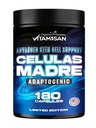 VITAMISAN Celulas Madres 180 Capsules - Stem Cell Blue Green Algae - 非转基因生物 - Gluten Free AFA - Celula Madre 补编 - 狮子的Mane Beta Glucan支持健康老龄化和Immune Spiruina.