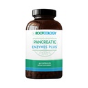 Izabella Wentz博士的根学 – Pancreatic Enzymes Plus – 肠内化妆 lipase, Protease & Amylase Blend with Bromelain – 90 Capsules