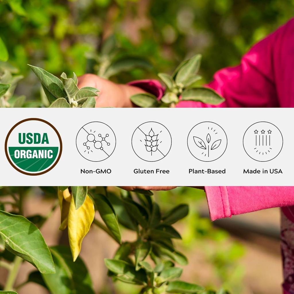 Ashwagandha Powder,非GMO,公平贸易,Vegan,Gluten Free,单一起源,生长在俄勒冈州 Adaptogenic Ayurvedic 草药补充剂,可逆性Jar