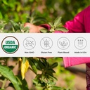 Ashwagandha Powder,非GMO,公平贸易,Vegan,Gluten Free,单一起源,生长在俄勒冈州 Adaptogenic Ayurvedic 草药补充剂,可逆性Jar