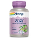 SOLARAY Olive 250mg - 橄榄叶提取片,含22% Oleuropein, Plus Lemon Balm - 健康支持的多酚补充剂 - Vegan,60天保障,实验室验证 - 120种服务,120种蔬菜