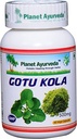 Ayurveda Gotu Kola星球,500mg Veg Capsules-单瓶