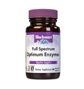 BlueBonnet Full Spectrum Optimum Enzymes 植物科植物科植物科植物科植物科植物科植物科植物科植物科植物科植物科植物科植物科植物科植物科植物科植物科植物科植物科植物科植物科植物科植物科植物科植物科植物科植物科植物科植物科植物科植物科植物科植物科植物科植物科植物科植物科植物科植物科植物科植物科植物科植物科植物科植物科植物科植物科植物科植物科植物科植物科植物科植物科植物科植物科植物科植物科植物科植物科植物科植物科属属第60属