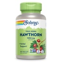 SOLARAY Hawthorn Berry Capsules 1050 mg - 舒缓草药支持 - Hawthorne Berry全面健康支持补充 - 全Berry, Vegan, Non-GMO, 60日保障, 90次服务, 180次Veg Caps