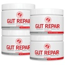 Silver Fern Gut修复 - 消化性健康补充剂 Powder L-Glutamine, Curcumin, Zinc, Ascorbic酸混合剂