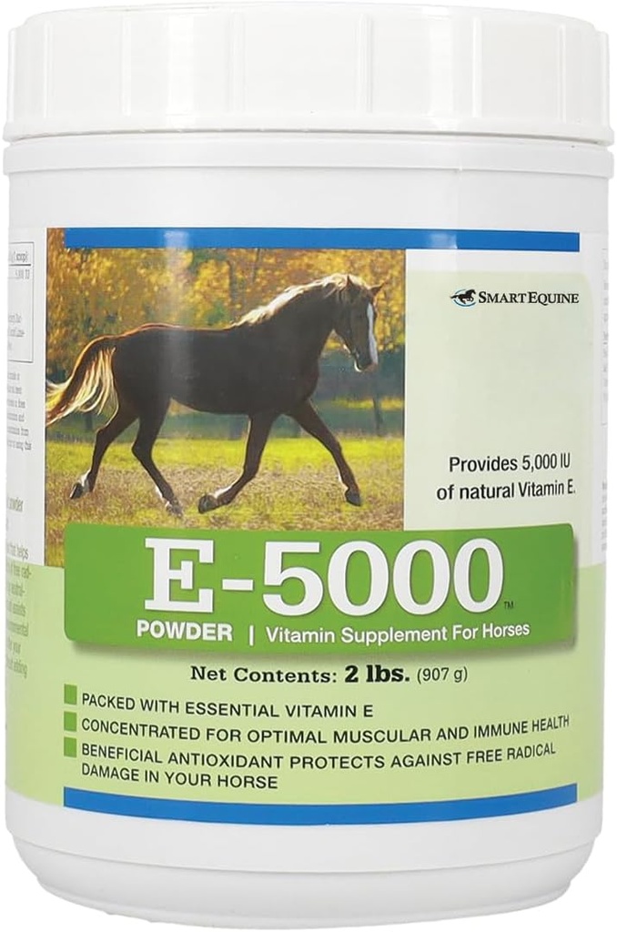 E5000 Powder → 马用维生素 E → 抗氧化剂支持 马用维生素 E 补充 → 专注于最佳肌肉与健康支持 → 2 lb