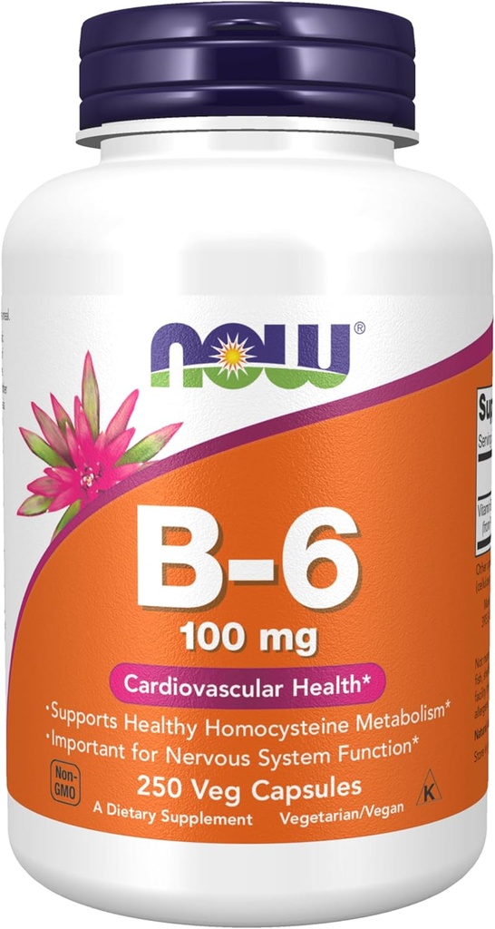 食品补充品,维生素B-6(丙二醇HCl)100毫克,心血管健康,250维卡普尔