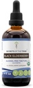 Black Elderberry USDA 有机叮当 酒精-FREE 提取物 高概率草药滴 免疫系统健康 100%认证的Black Elderberry(桑布库斯尼格拉) 4 oz